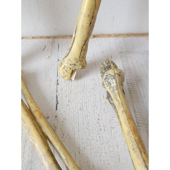 Vintage Paper magic 1998 AS IS animated skeleton Halloween hanging prop decor - Picture 5 of 16